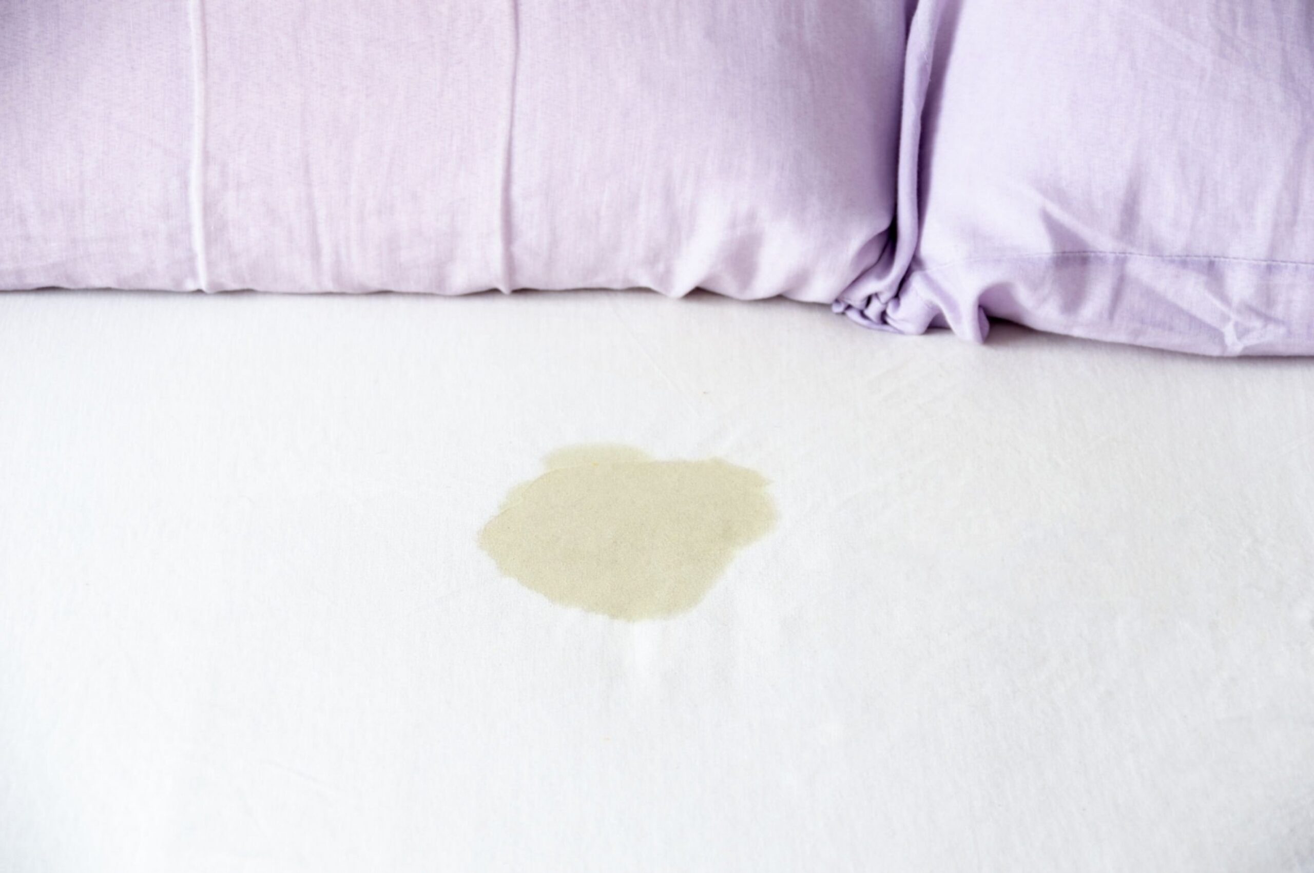 Urine residue on a bed caused by a pet